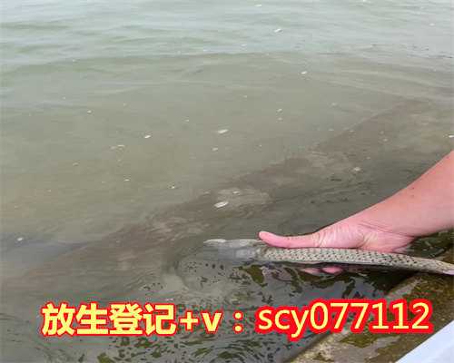 东莞放生黑鱼在哪里，广东省东莞市古门